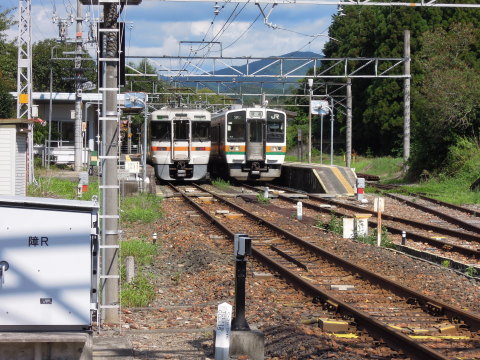飯田線 313系と213系