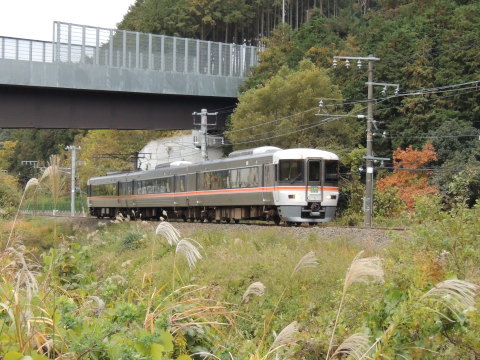 飯田線 373系 特急「（ワイドビュー）伊那路」