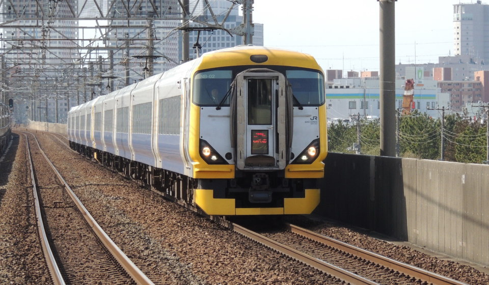 京葉線 E257系500番台 特急「わかしお5号」（NB-02＋NB-05編成）