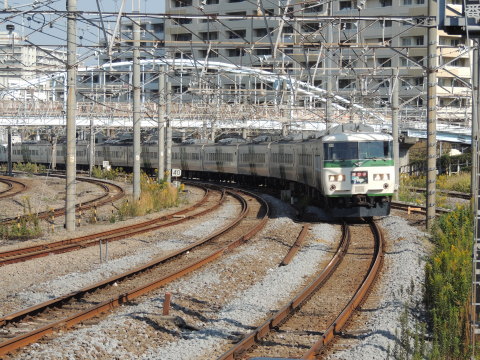 東海道線 185系 踊り子105号（斜めストライプ塗装）