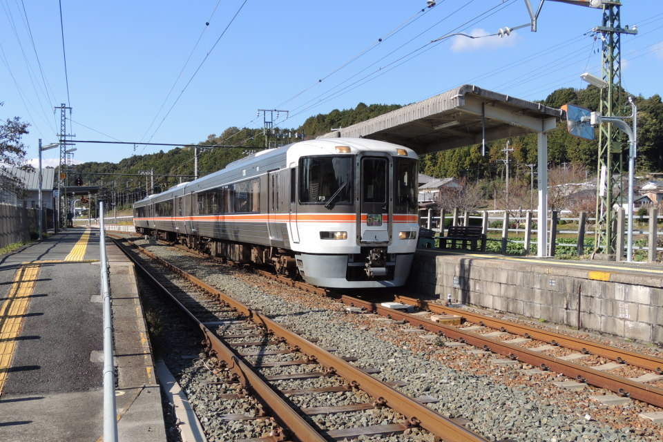 飯田線 373系「秘境駅号」