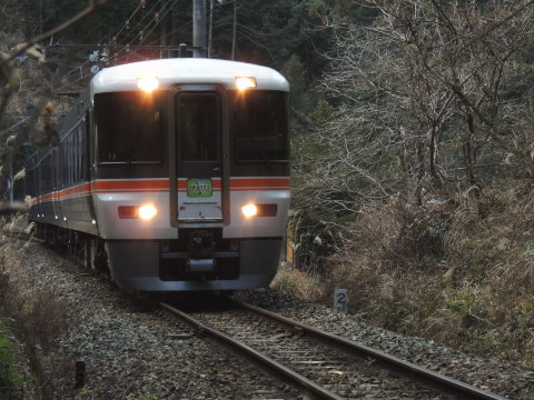 飯田線 373系 特急「（ワイドビュー）伊那路」