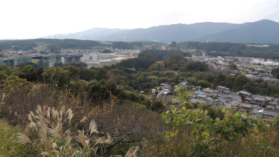 鳶ヶ巣山から眺める長篠城址一帯と飯田線