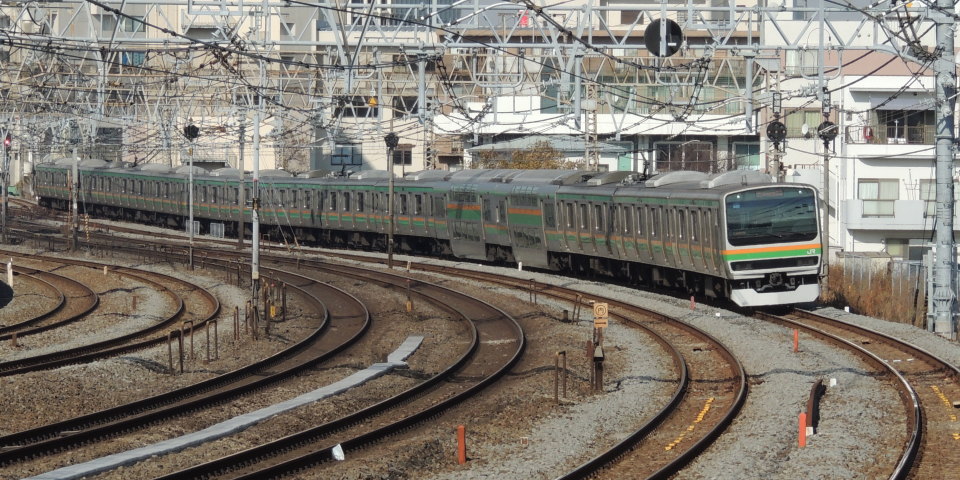 湘南新宿ライン E231系