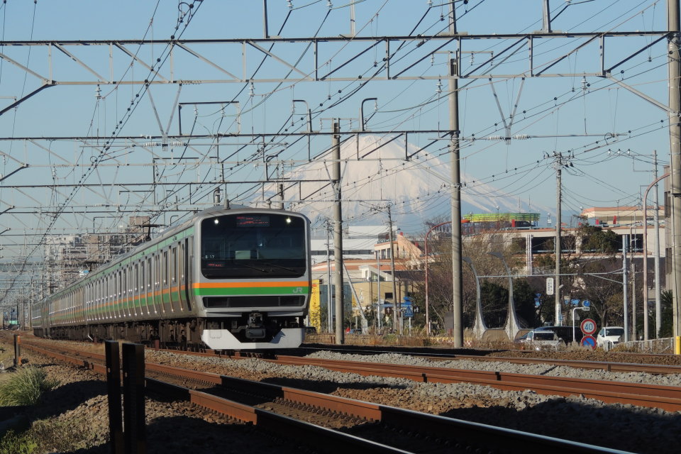 湘南新宿ライン E231系（S-17編成）